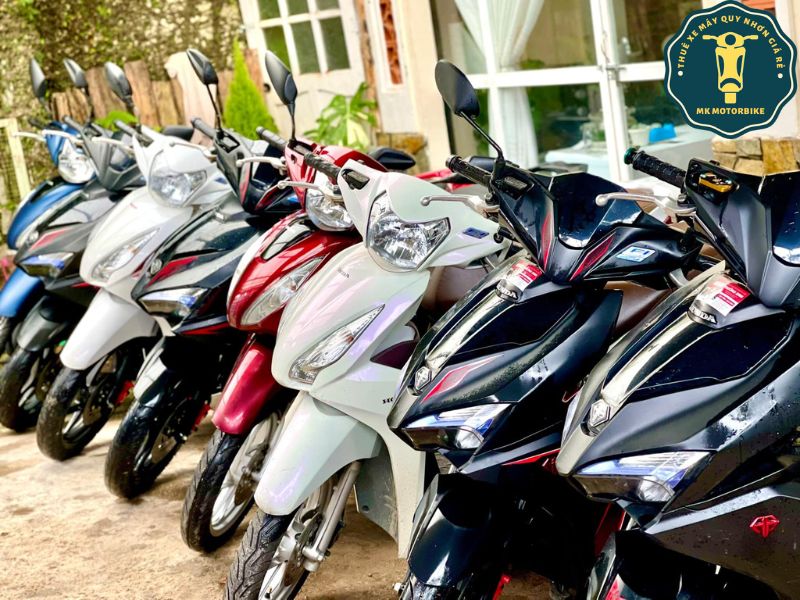 Lưu ý cần nắm khi thuê xe máy tại Quy Nhơn